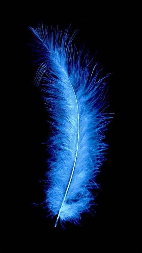 1290x2796px, 2K free download | Blue Feather, blue, feather, HD phone wallpaper | Peakpx