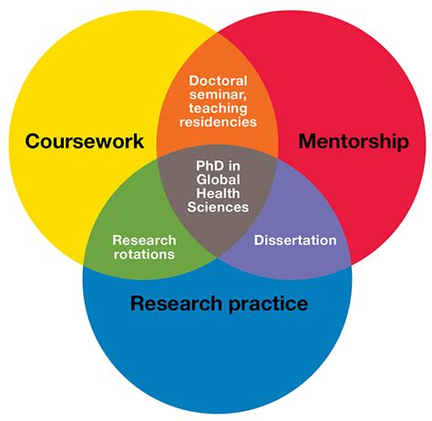 Program Structure | UCSF Institute for Global Health Sciences