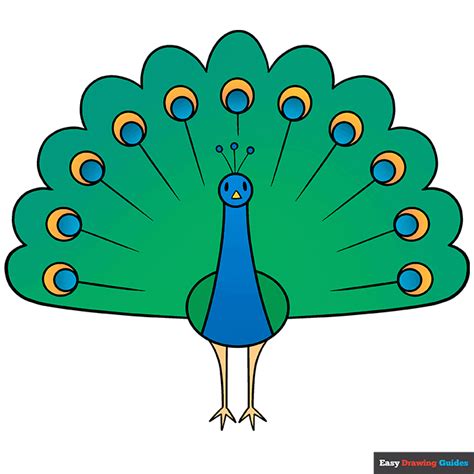 How To Draw A Peacock Step By Step