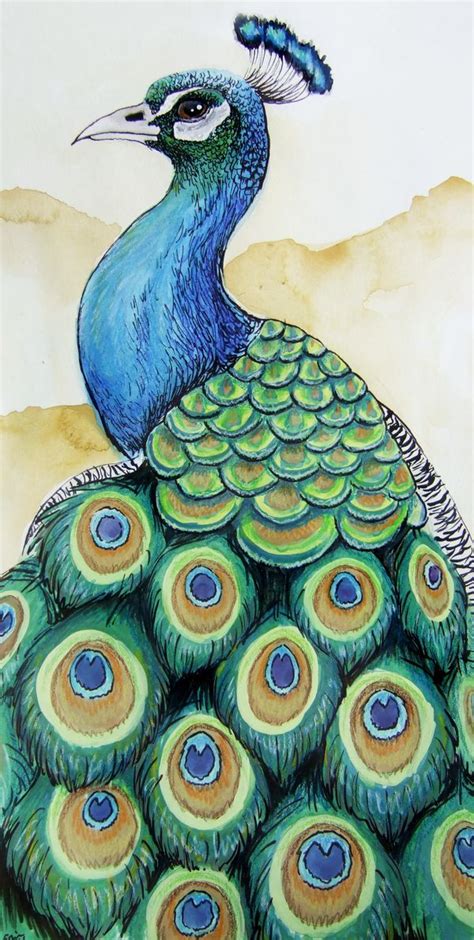 Peacock by Zaphy1415926 on DeviantArt | Lotus art, Peacock painting, Peacock wall art