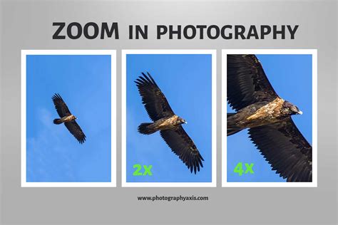 ZOOM in Photography (Optical & Digital) EXPLAINED - PhotographyAxis