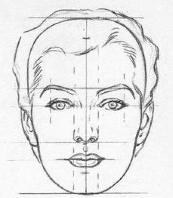 How To Draw The Proportions Of Face - Intelligencesupply16