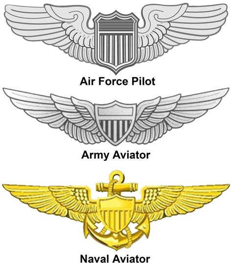 Us Air Force Pilot Badge Air Force Enlisted Wings Free Transparent | Images and Photos finder