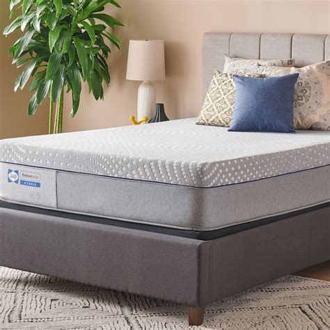 Sealy 13.5-in Firm Queen Hybrid Memory Foam/Coil Blend Mattress in a Box in the Mattresses ...