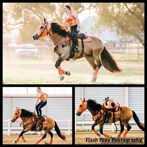 CAILIN'S Trick Riding Saddle – Matthews Saddlery