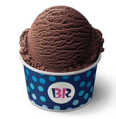 Baskin-Robbins Chocolate Ice Cream Nutrition Facts