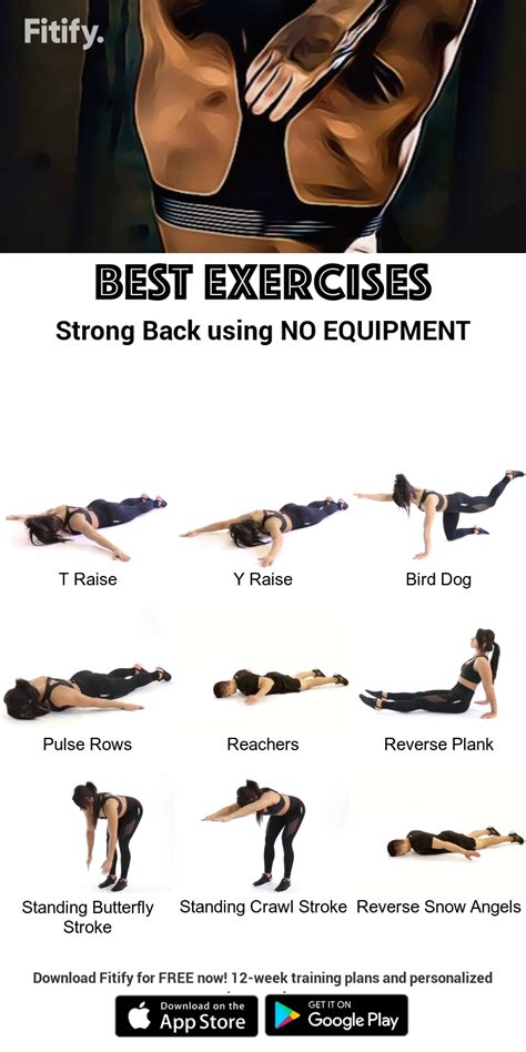 39+ Lower back no equipment exercises machine | absworkoutcircuit