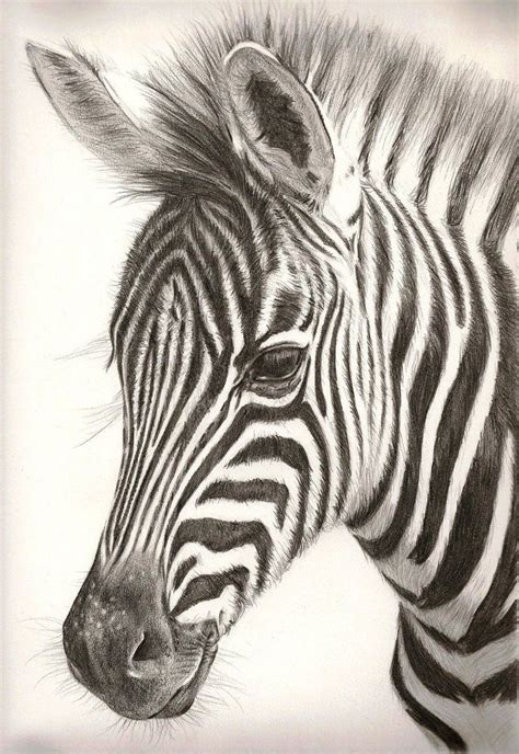 modelo maquillaje jazz zebra dibujo a lapiz Lionel Green Street gene poco claro