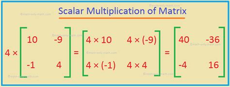 Multiplication of a Matrix by a Number |Scalar Multiplication|Examples