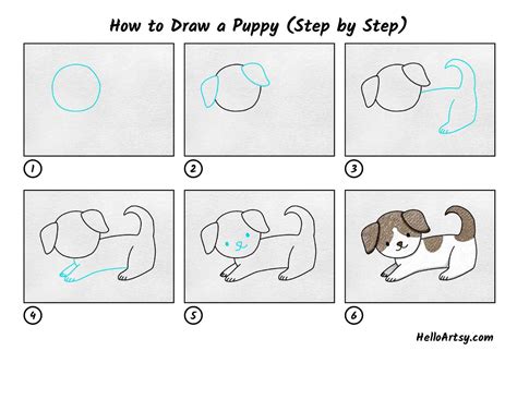 Dog Drawing Step By Step