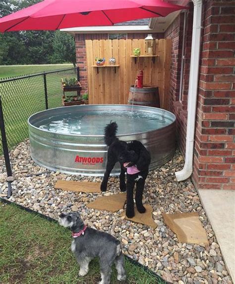 diy-dog-pool-ideas