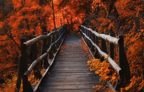 1400x900 Resolution A Bridge in Autumn Season 1400x900 Resolution Wallpaper - Wallpapers Den