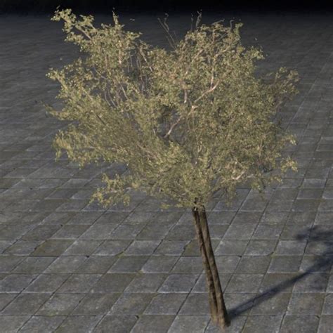 File:ON-furnishing-Bush, Desert Scrub.jpg - The Unofficial Elder Scrolls Pages (UESP)