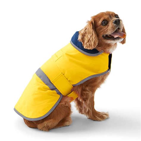 Coziest Dog Coats for Winter | Reader's Digest