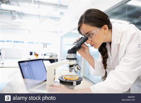 Female scientist examining petri dish under microscope Stock Photo - Alamy