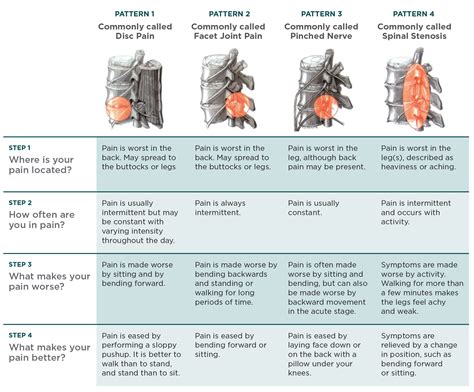 Back / spine - TBI Health