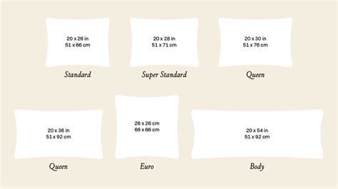 Pillow Sizes And Dimensions Guide Nectar Sleep | eduaspirant.com