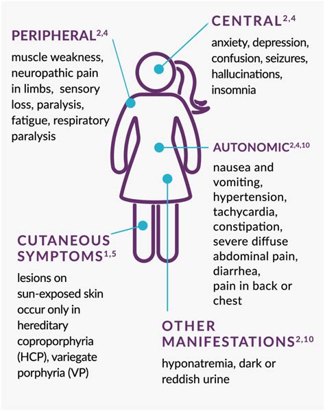 Acute Hepatic Porphyria Symptoms - Illustration, HD Png Download - kindpng