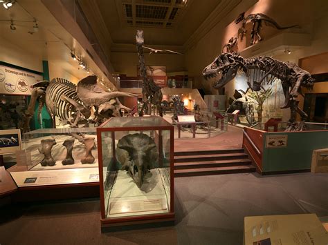 National Museum of Natural History’s Dinosaur and Fossil Hall Closure and Renovation ...