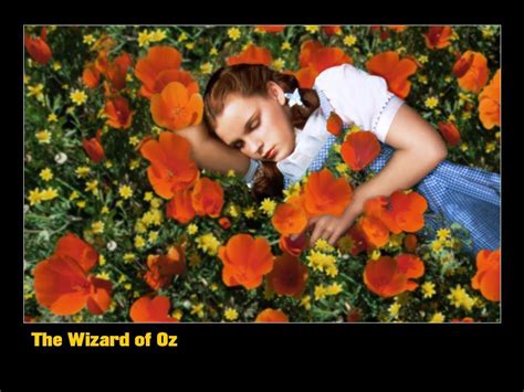 Dorothy In the Poppy Field - The Wizard of Oz Wallpaper (4640408) - Fanpop