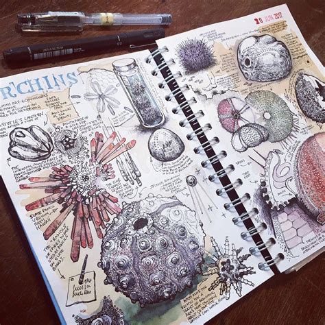 Get Inspired by These 50+ Sketchbook Ideas to Elevate Your Artistic Journey - Step-by-Step ...