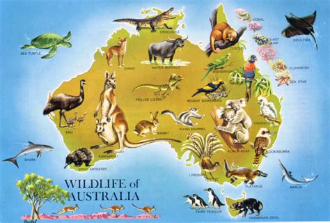 Large detailed wildlife map of Australia. Australia large detailed wildlife map | Vidiani.com ...