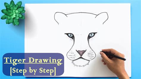 How To Draw A Tiger Face