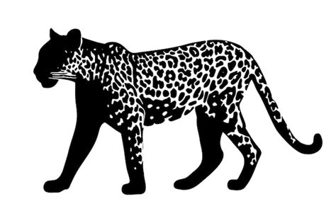 Premium Vector | Jaguar silhouette isolated on white background Vector illustration