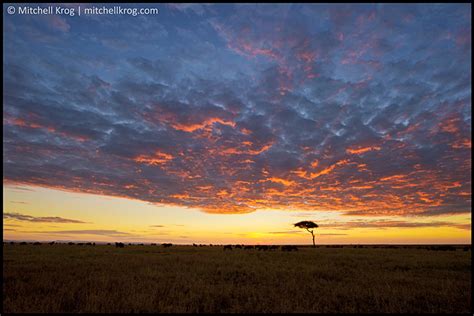 Sunrise in the Maasai Mara