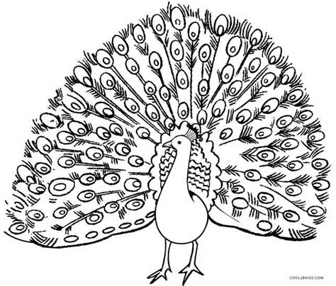 Printable Peacock Coloring Pages For Kids