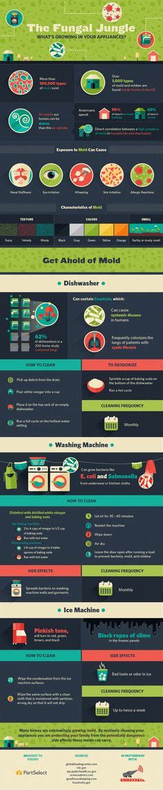 46 Best types of mold ideas | stuffed mushrooms, mushroom fungi, fungi