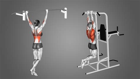 Wide Grip vs Close Grip Pull Ups: Differences Explained - Inspire US