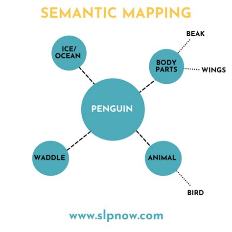 Vocabulary Approach: How to Use Semantic Mapping & the Research Behind it - SLP Now