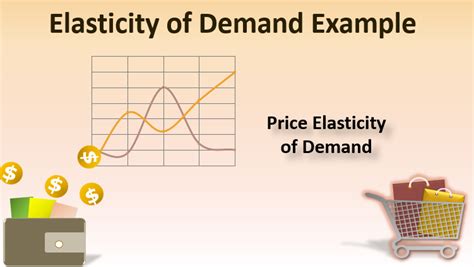 Elasticity of Demand Example | Examples on Elasticity of Demand (2022)