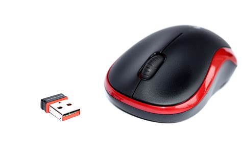 Computer Mouse Free Stock Photo - Public Domain Pictures