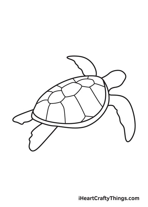 Learn How To Draw A Sea Turtle