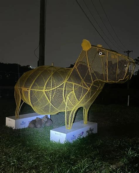 Baby capybaras seek shelter under giant iron capybara installed near their usual location : r/aww