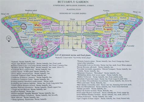 Butterfly garden design - lodgelassa