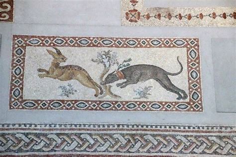 Wild Animals on Ancient Roman Mosaic Floor Editorial Stock Photo - Image of france, floor: 152886118