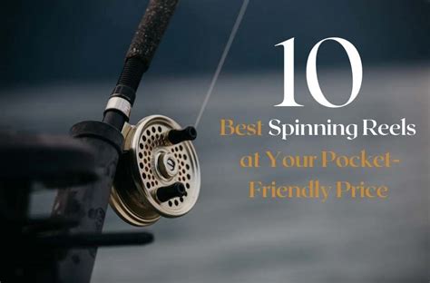 10 Best Spinning Reels for Fishing - Fishing Tools Review