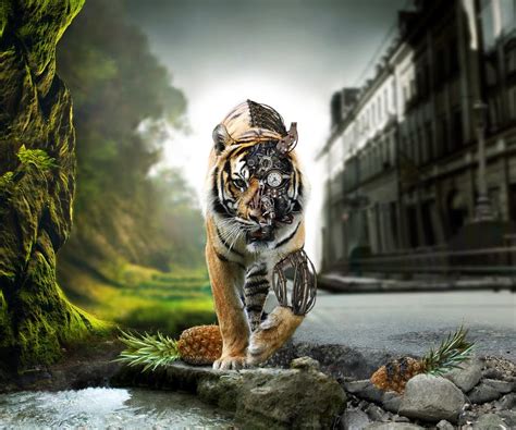 Animated HD Tiger Tablet PC Wallpapers