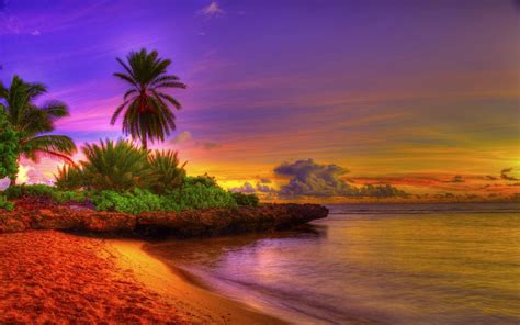 Beach Sunrise Wallpaper - WallpaperSafari