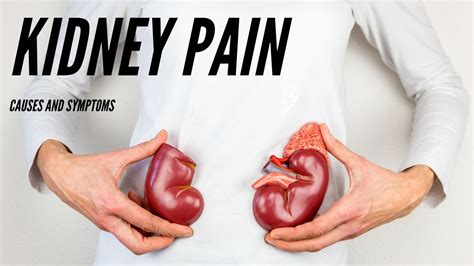 How Long Does Kidney Pain Last? – 8 Billion Voices