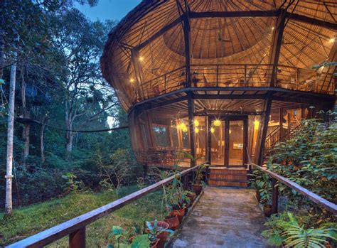 Gallery of Incredible Amazon Images | Treehouse Lodge