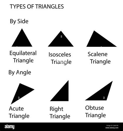 Different types of triangles vector illustration collection including Equilateral, Isosceles ...