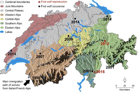 Topographic Map Of Switzerland - Allina Madeline