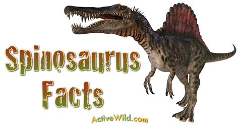 Spinosaurus Facts For Kids | Kids Matttroy