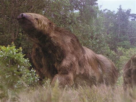 Giant Ground Sloth (Megatherium) Facts, Habitat, Diet, Fossils, Pictures