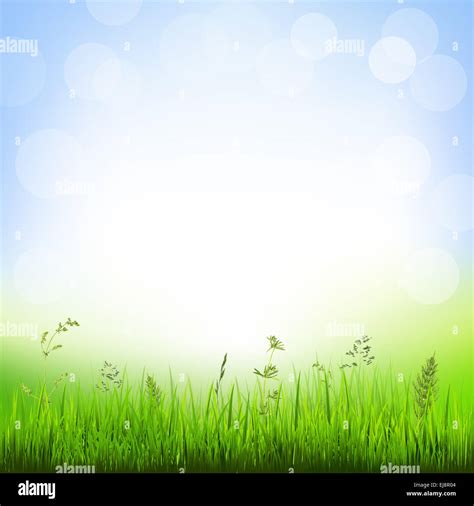 Background With Grass Border Stock Photo - Alamy