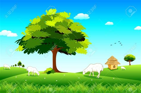 Grassland Clipart